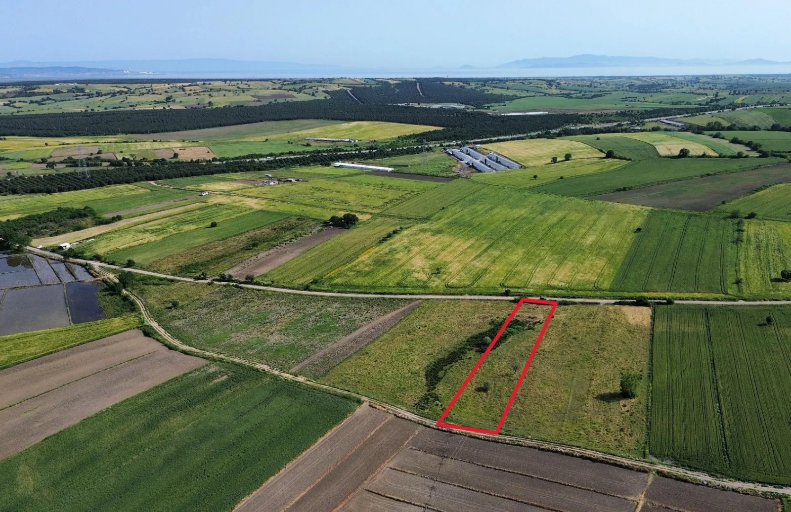 BİGA YUKARIDEMİRCİ'DE OTOYOL VE KÖYE YAKIN 4144 M2 SATILIK TARLA